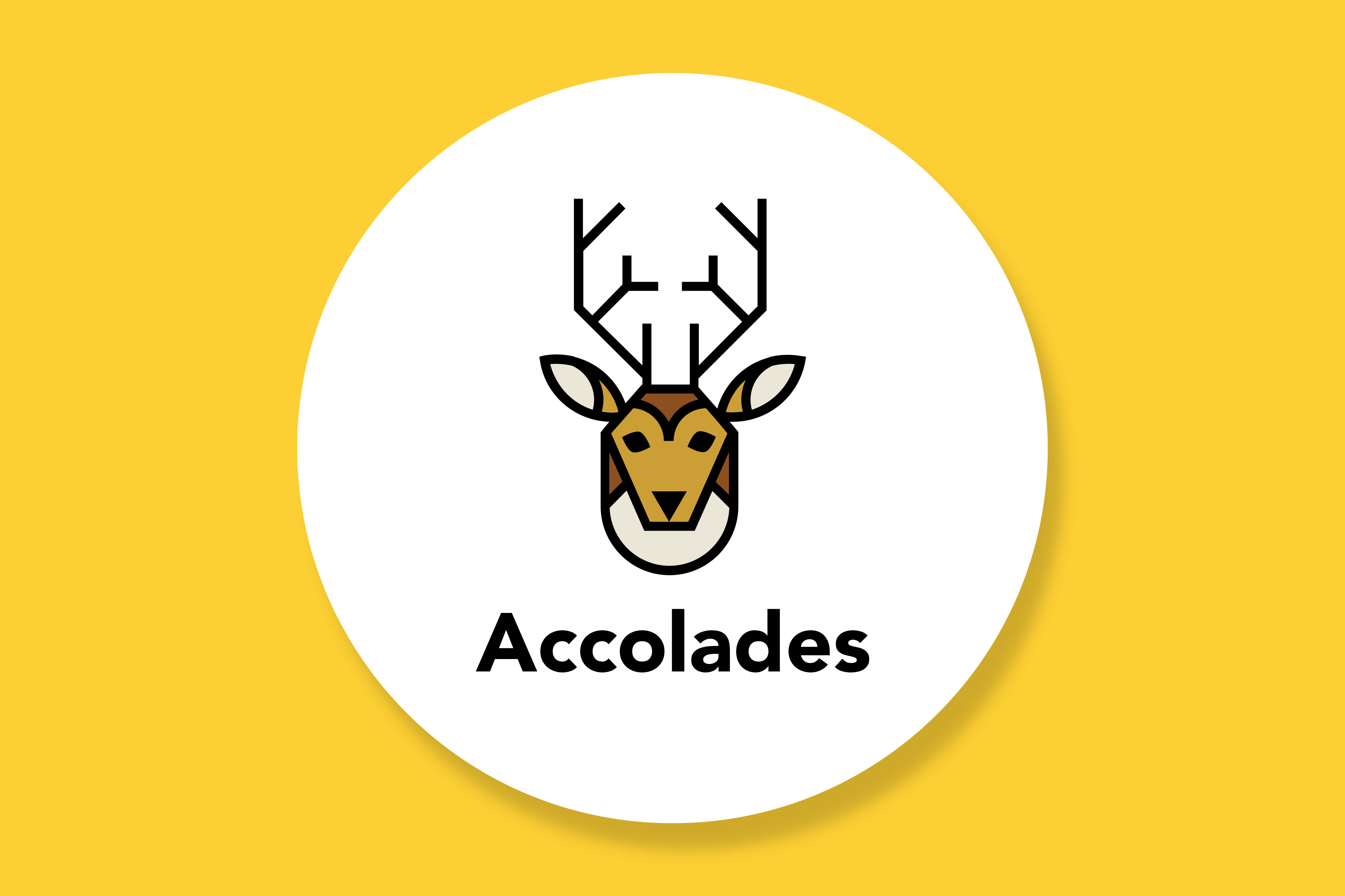 Accolades