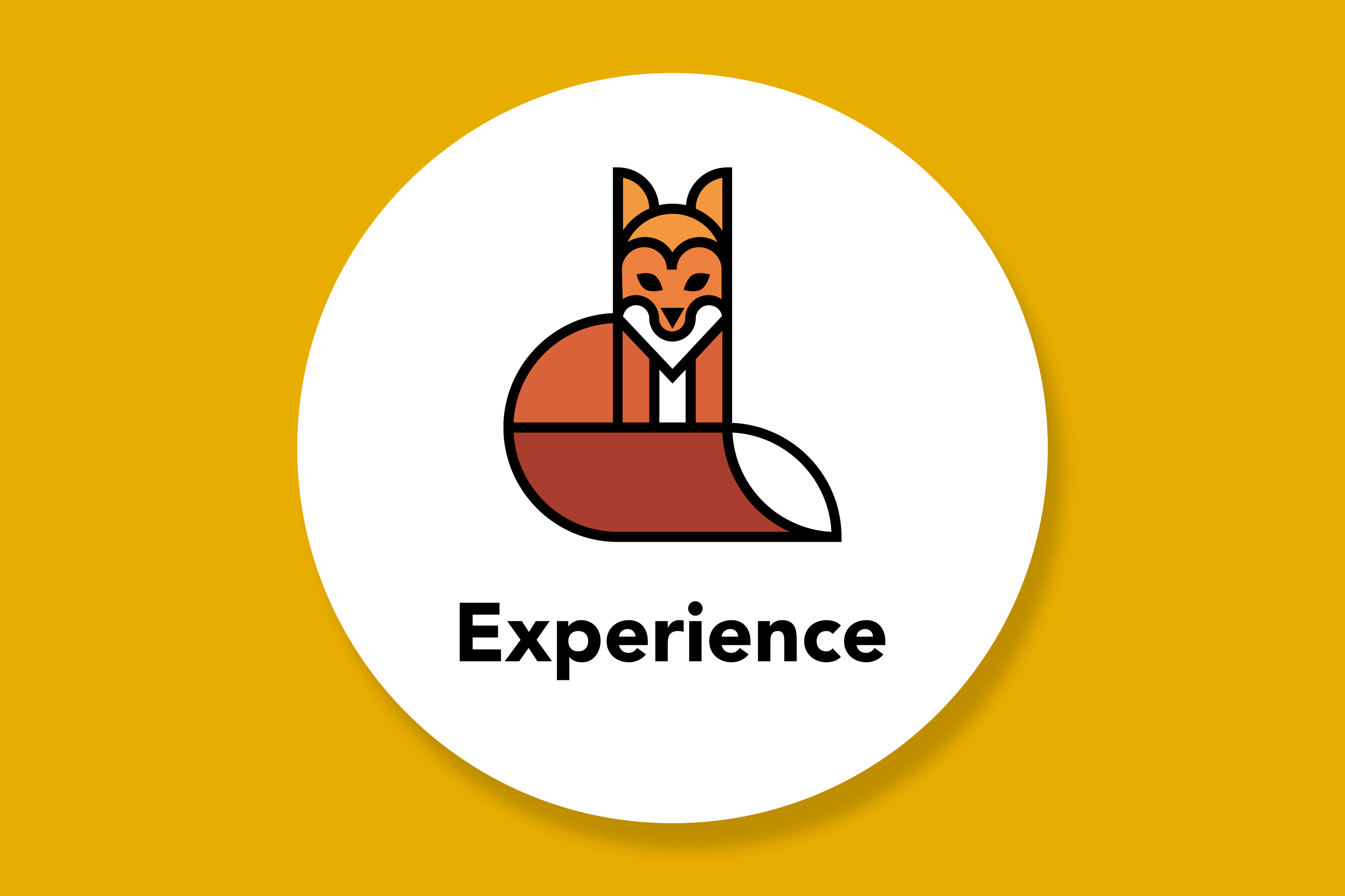 Work Experience